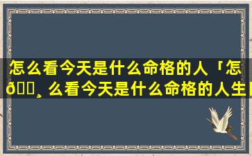 怎么看今天是什么命格的人「怎 🕸 么看今天是什么命格的人生日」